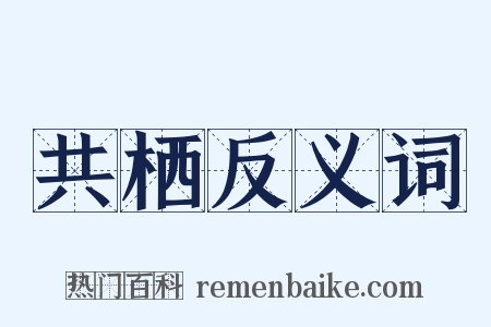 共栖反义词是什么意思的图片